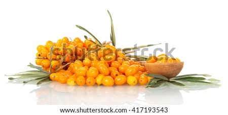 Recipes Golubka Kitchen