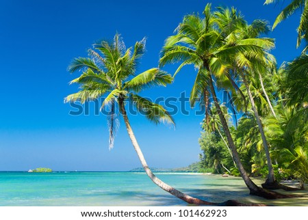exotic relaxation sunshine coast brothel in surfers paradise exotic relaxation sunshine coast brothel in surfers paradise