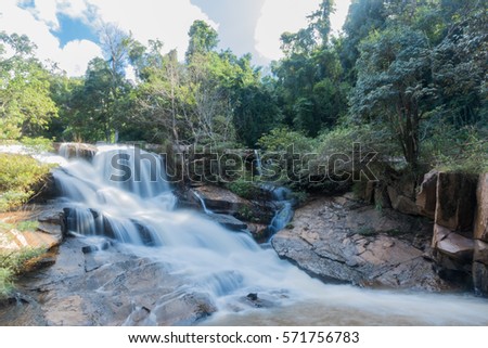 Coffee Tree Coffee Bean On Cafe Stock Photo 573186088 