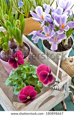 Easter flowers Stock Photos, Easter flowers Stock Photography, Easter ...