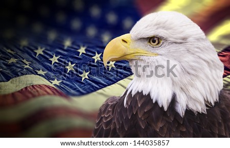 Bald Eagle Flying Above Clouds Stock Photo 76168216 - Shutterstock