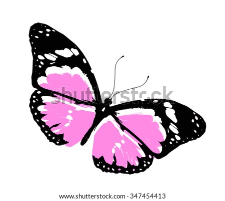 Red Butterfly Stock Photo 2806034 - Shutterstock