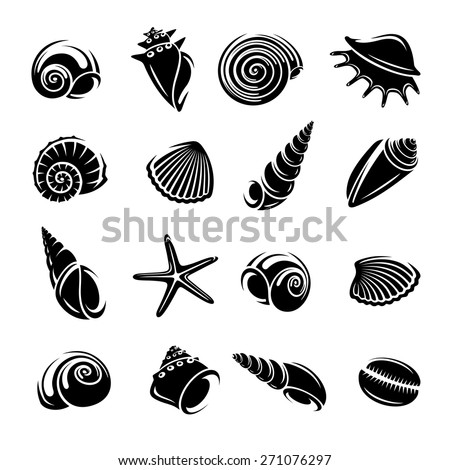 Seashells Set Vector Stock Vector 140845795 - Shutterstock