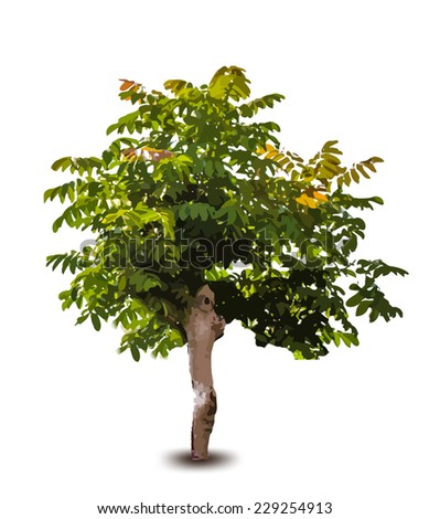 Dollar Grows On Tree Money Tree Stock Illustration 116505982 - Shutterstock