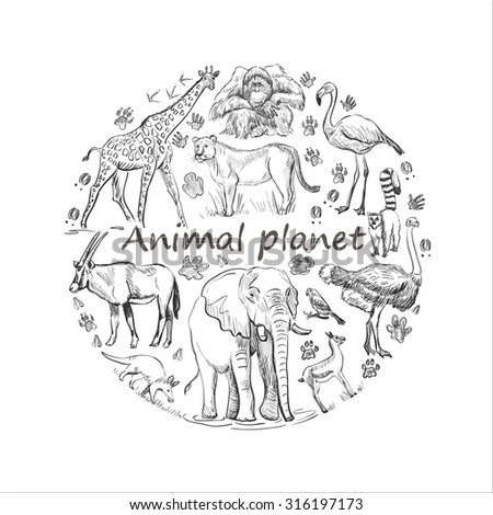 Hand Drawn Save Animals Emblem Animal Stock Vector 306240518 - Shutterstock