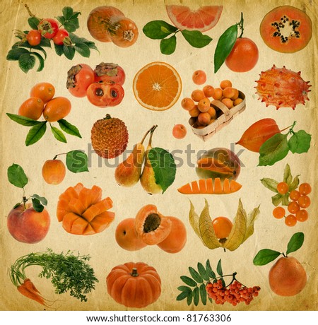 Collection Set All Orange Color Berries Stock Photo