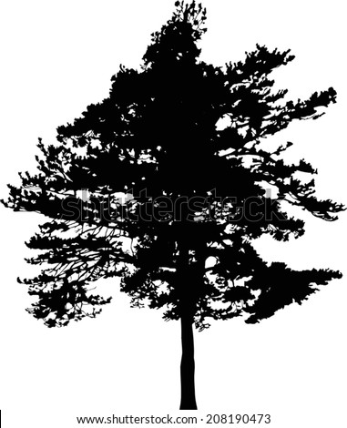 white pine black single men White pine's best 100% free dating site meeting nice single men in white pine can seem hopeless at times — but it doesn't have to be mingle2's white pine personals are full of single guys in white pine looking for girlfriends and dates. white pine black single men White pine's best 100% free dating site meeting nice single men in white pine can seem hopeless at times — but it doesn't have to be mingle2's white pine personals are full of single guys in white pine looking for girlfriends and dates.