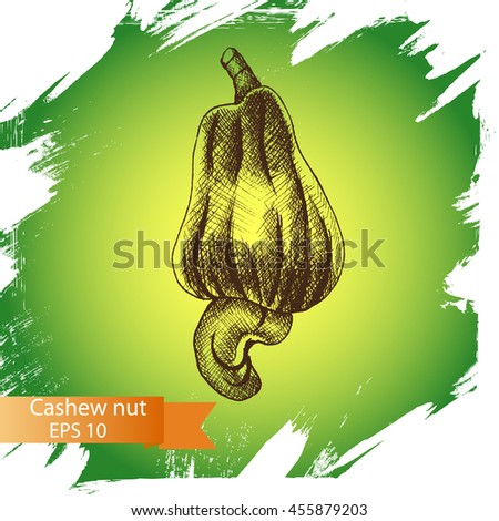 Ketupat Illustration Eid Mubarak Vector Sketch Stock 