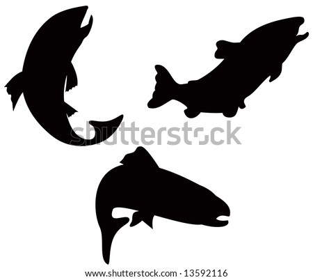 Trout Silhouette Stock Vector 13797064 - Shutterstock