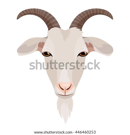 Vector Line Art Goat Face Farm Stock Vector 592651169 - Shutterstock