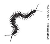 Millipede Vector Clipart image - Free stock photo - Public Domain photo ...