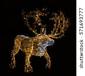 Reindeer Lights Free Stock Photo - Public Domain Pictures