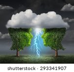 Tree And Storm 2 Free Stock Photo - Public Domain Pictures