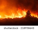 Forest Fire Free Stock Photo - Public Domain Pictures