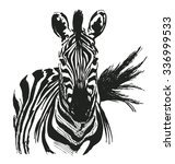 Zebra Head Free Stock Photo - Public Domain Pictures