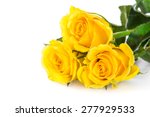 Bouquet Of Yellow Roses Free Stock Photo - Public Domain Pictures