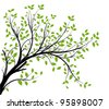 Tree Branches Silhouette Isolated Over White Background With Lot Of ...